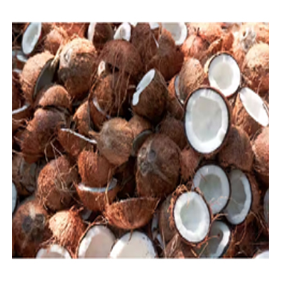 South Indian Coconut